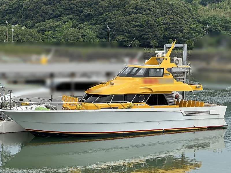 19 GT Work Boat (1991)