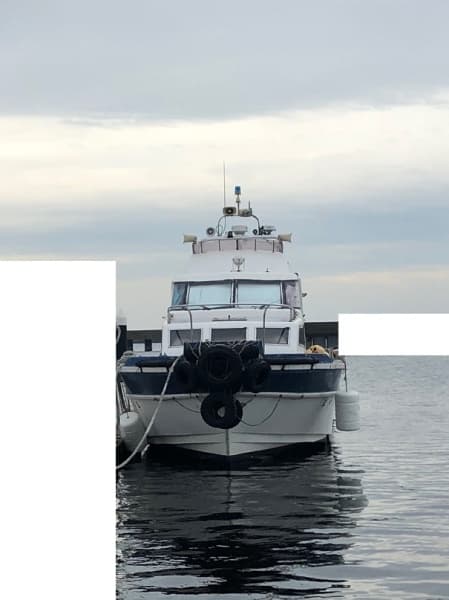 4.9m Vessel (1994) - Image 2