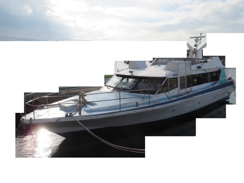 365.5m Vessel (1991) - Image 2