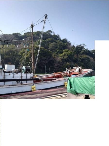 455.7m Fishing Vessel (1997) - Image 2