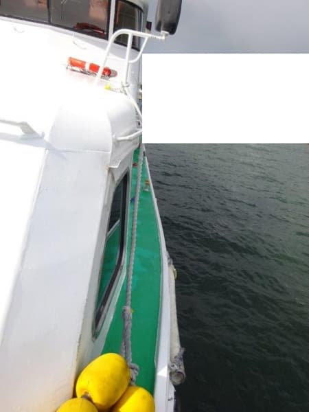 679.7m Passenger Vessel (1997) - Image 3