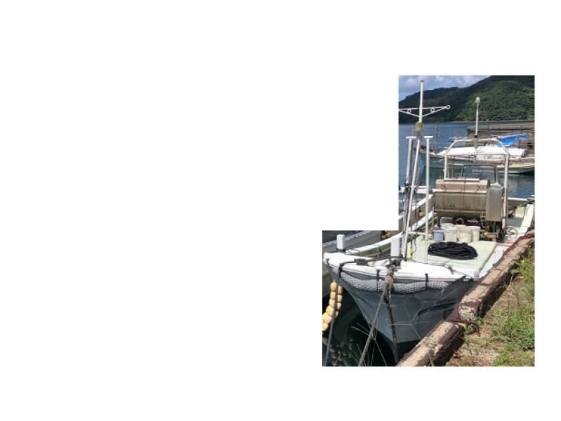 310.3m Vessel (1989)