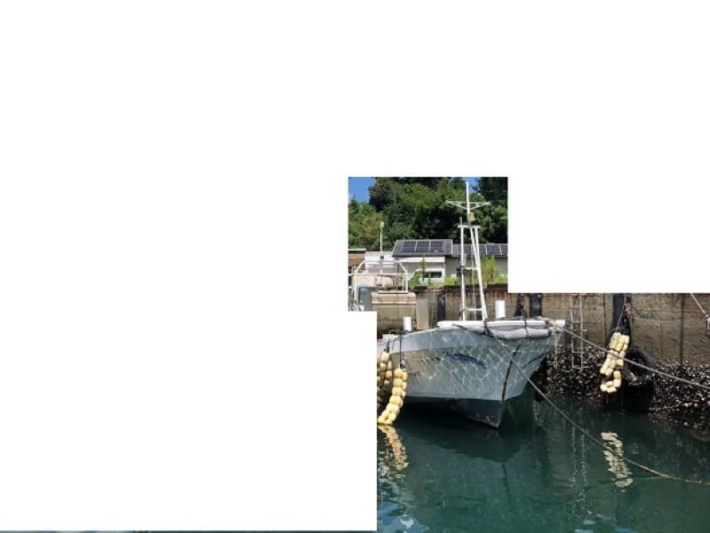 310.3m Vessel (1989) - Image 2