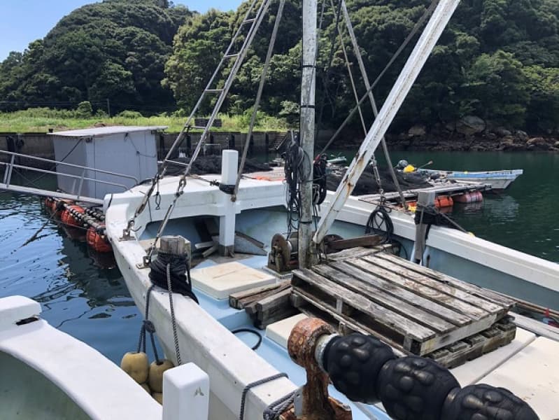 383.7m Vessel (1988) - Image 2