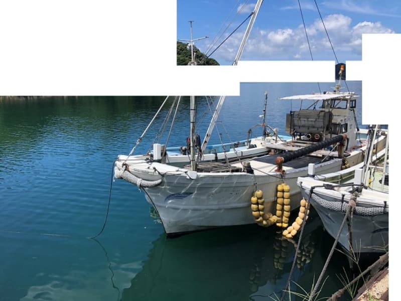 383.7m Vessel (1988)