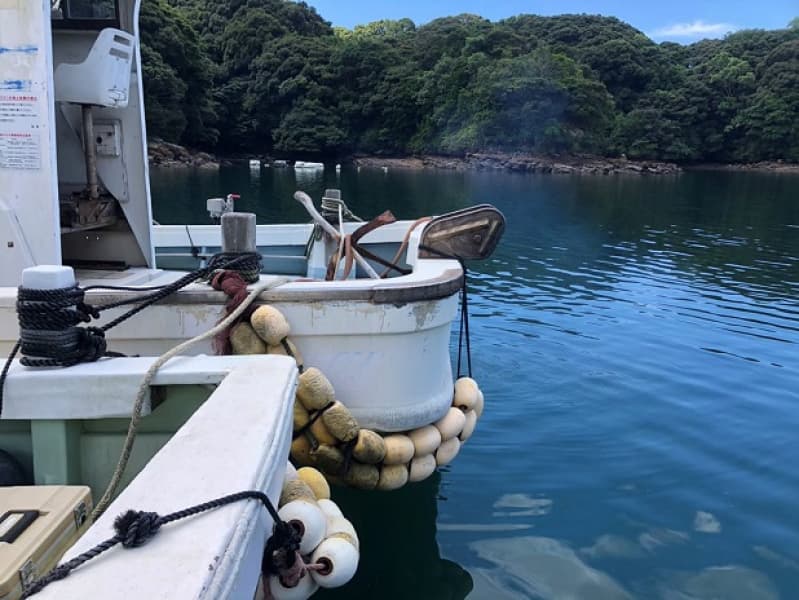 383.7m Vessel (1988) - Image 6