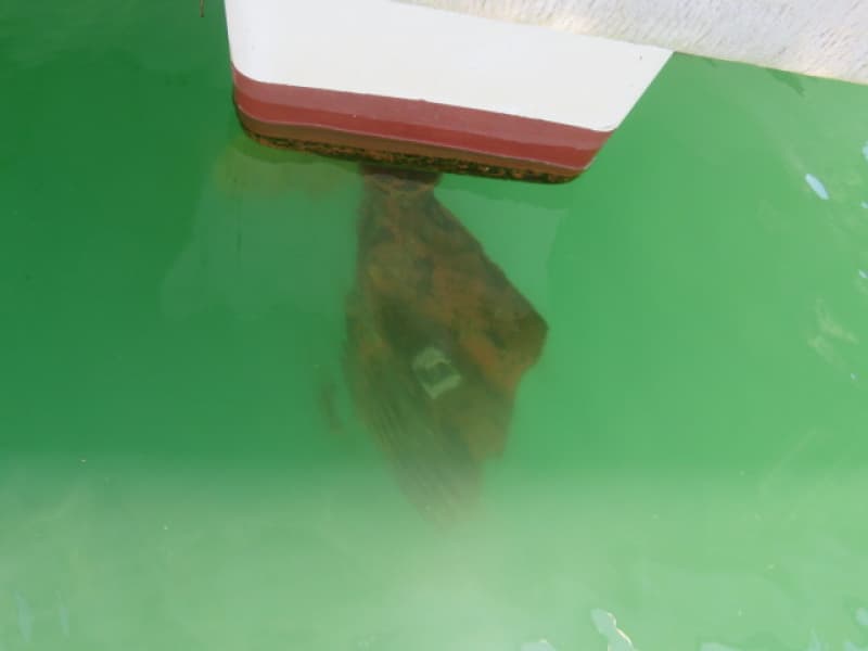 233.2m Fishing Vessel (1989) - Image 17