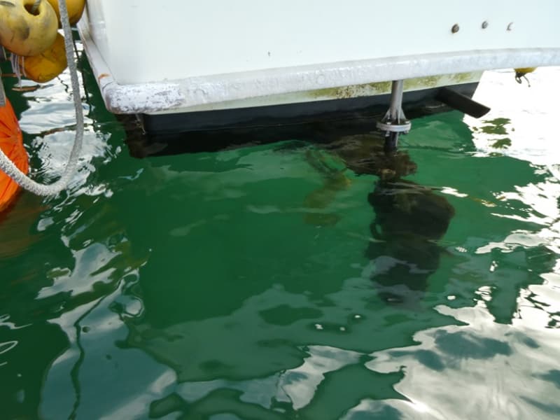 217m Fishing Vessel (1988) - Image 7