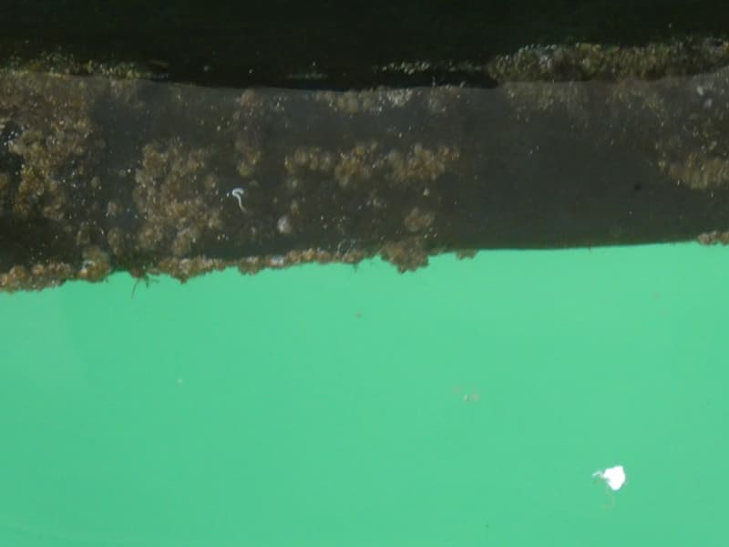 217m Fishing Vessel (1988) - Image 30