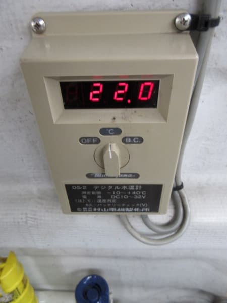 349.3m Fishing Vessel (1997) - Image 21