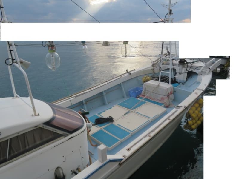 349.3m Fishing Vessel (1997) - Image 3