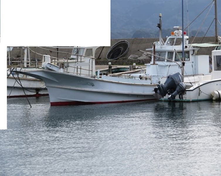 3.1m Fishing Vessel (2001) - Image 2