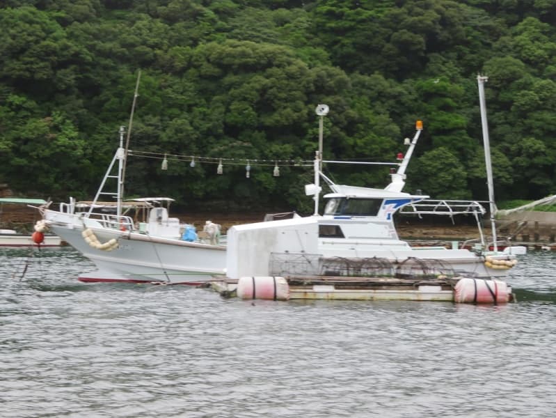 2.8m Fishing Vessel (2005) - Image 3